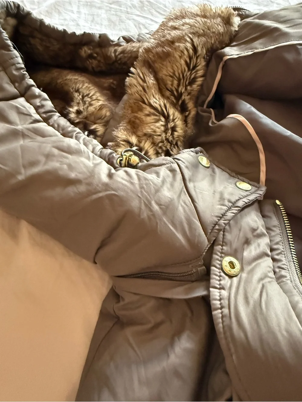 Cole Haan Signature Hooded Belted Down Puffer Long Coat Taupe Brown, Small